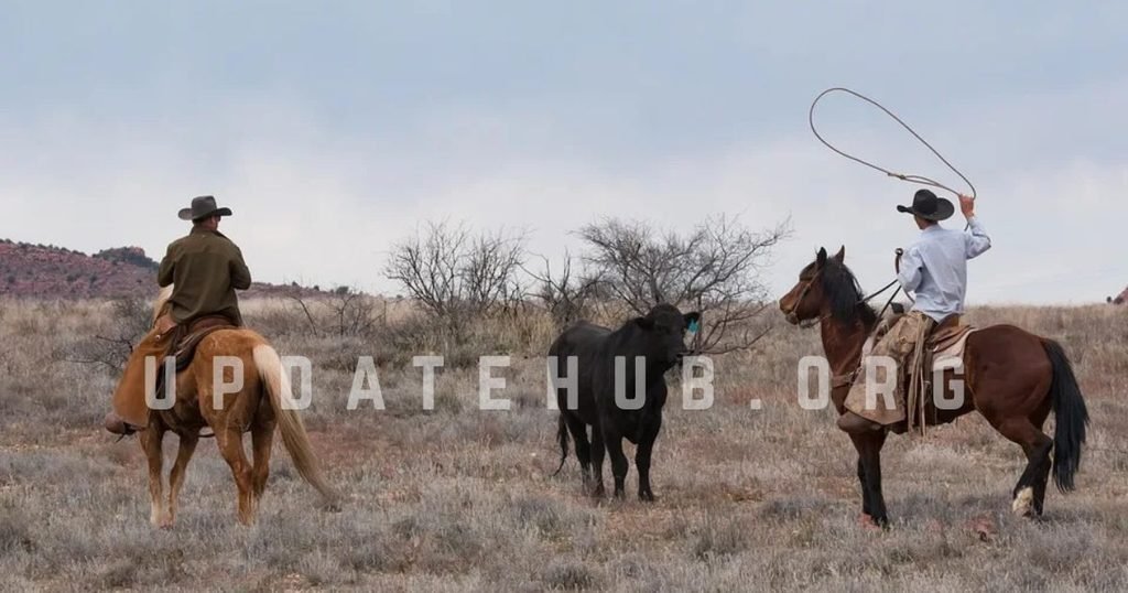Cowboy Skills, Clothing, and Equipment